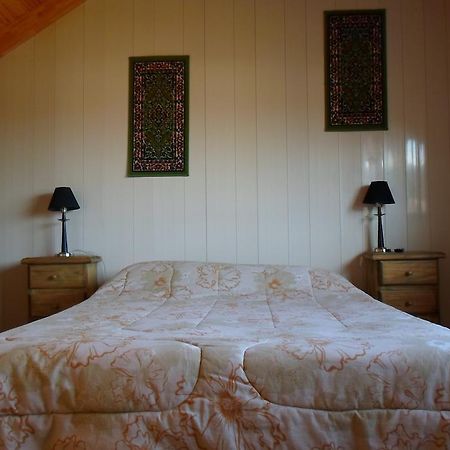 Apart Hotel Curahue Junín de los Andes エクステリア 写真